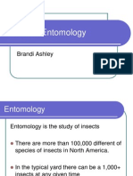 Basics of Entomology