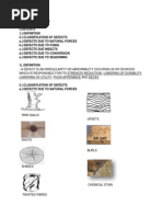 Timber Defects: Types and Causes | PDF | Wood | Lumber