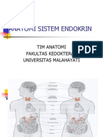 Endokrin Anatomi