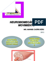 Neurobiomecanica Del Movimiento