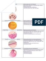 Different Types of Tissue