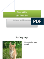 Muzak Kir