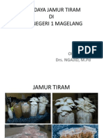 Presentasi Jamur Tiram