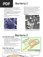 Bacteria Summary 1