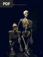 Do Macaco Ao Homem Exposição Permanente No Catavento Cultural SP