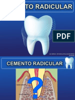 cementoradicular-110418131852-phpapp01