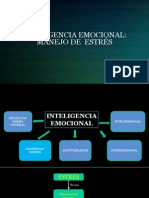 Inteligencia Emocional9