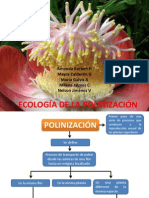 Dip. Ecologia de La Polinizacion