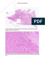 Cellular Injury and Adaptation I