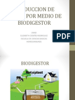 Produccion de Biogas Por Medio de Biodigestor