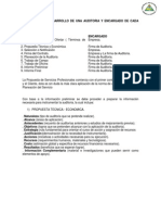 Pasos Para El Desarrollo de Una Auditoria y Encargado de Cada Uno de Ellos