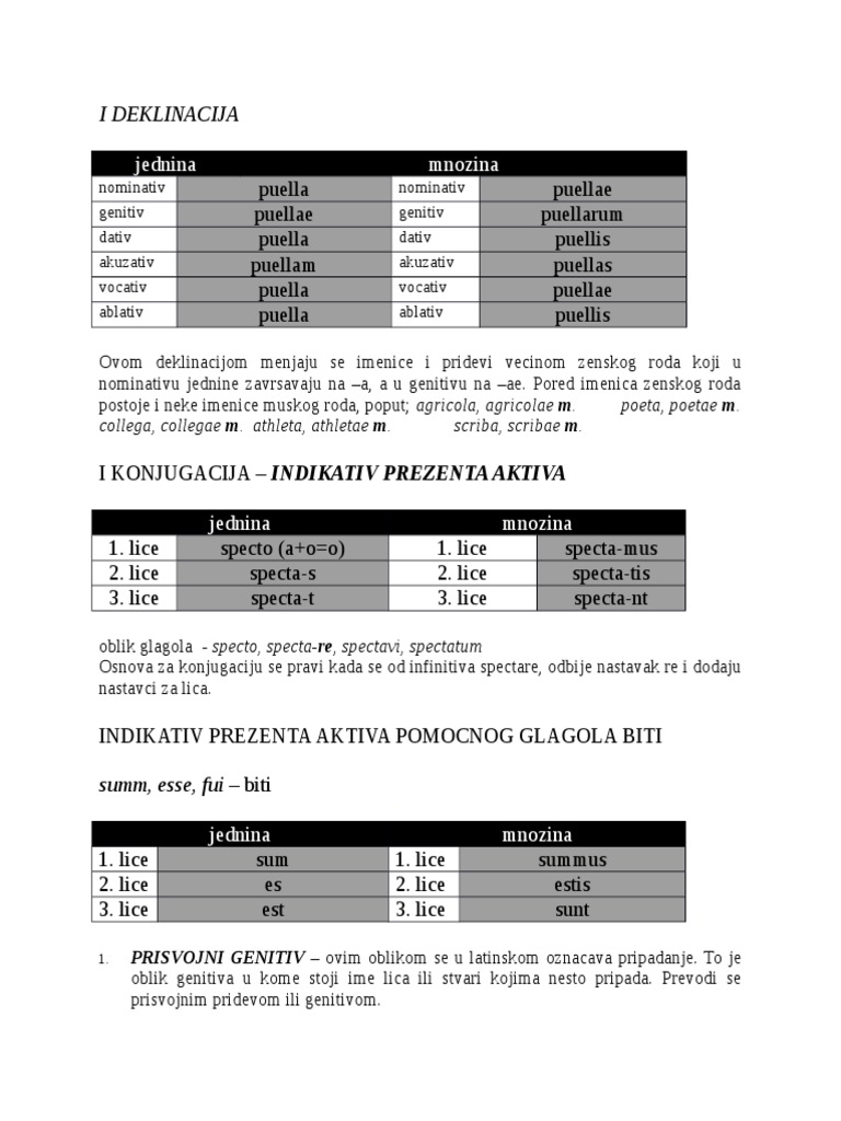 Latinska Gramatika | PDF