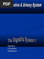 Download Digestive System Powerpointppt by Thomas417 SN23882388 doc pdf
