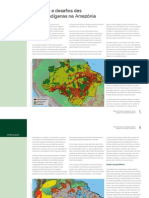 Atlas de Pressões e Ameaças Às Terras Indígenas Na Amazônia Brasileira