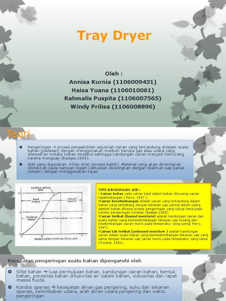 Tray Dryer PDF