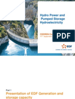 3 - RioualD - Pumped Storage Hydropower Status PDF