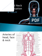 L9-Head and Neck Vascular