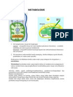 Metabolisme Print