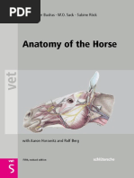 Download Anatomy of the Horse - 5th Edition by Adeel Sarfraz SN238888553 doc pdf