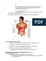 Anatomy and Physiology