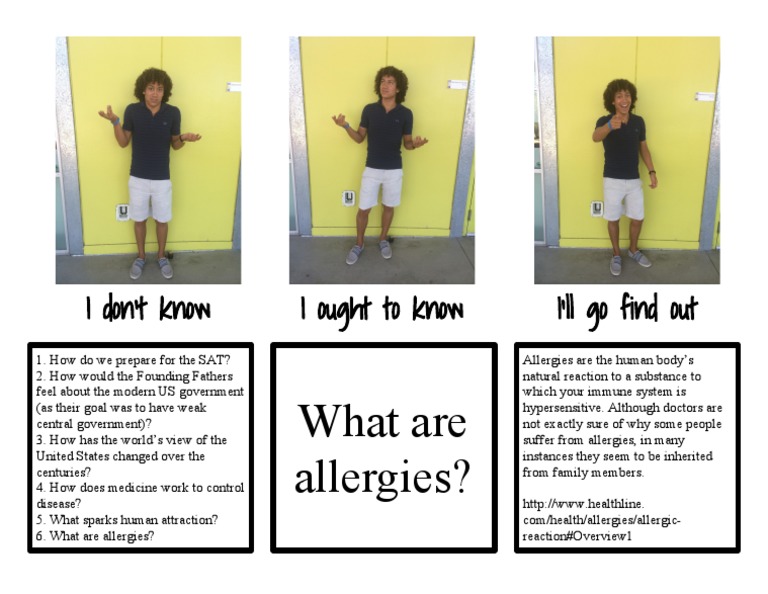 What Are Allergies?: I Don't Know I Ought To Know I'll Go Find Out | PDF