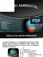 Salud Ambiental