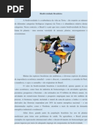 Biodiversidade Brasileira