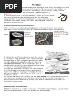 Relatório Biologia Caracterização de Classes