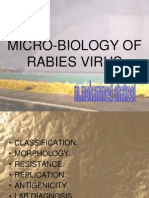 Rabies - Microbiology
