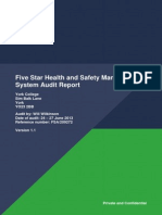 Five Star Health and Safety Management System Audit Report