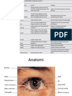 Anatomi Dan Fisiologi Mata