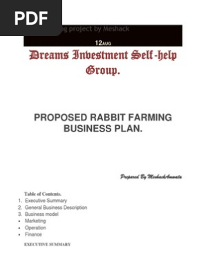 Abbit Farming Project By