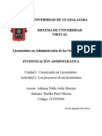 Los Proyectos de Mi Licenciatura