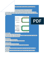 Berikut Perbedaan Karakteristik Antara Bakteri Gram Positif Dan Gram Negatif