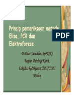 Slide Prinsip Pemeriksaan Metode Elisa - Pcr Dan Elektroforese