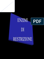 Enzimi Di Restrizione