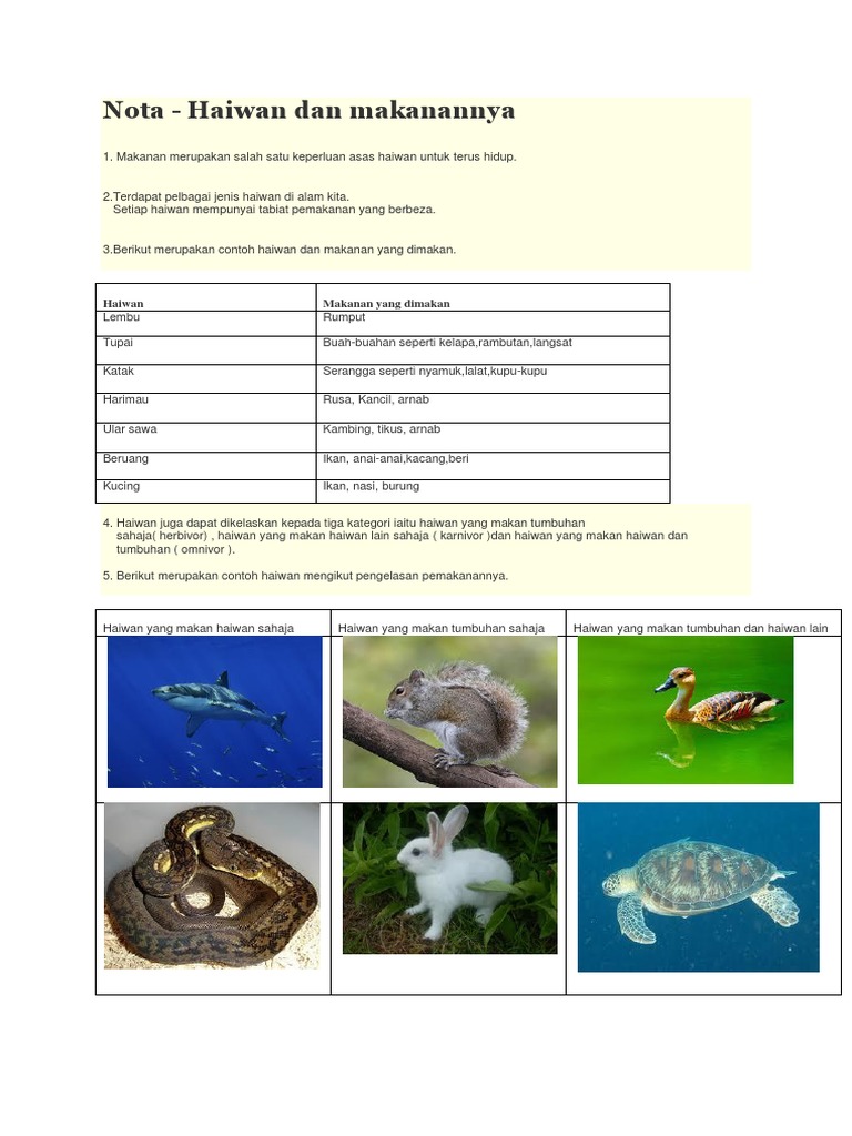 Nota Sains Tabiat Makanan Haiwan Pdf