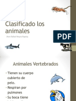 Clasificado Los Animales