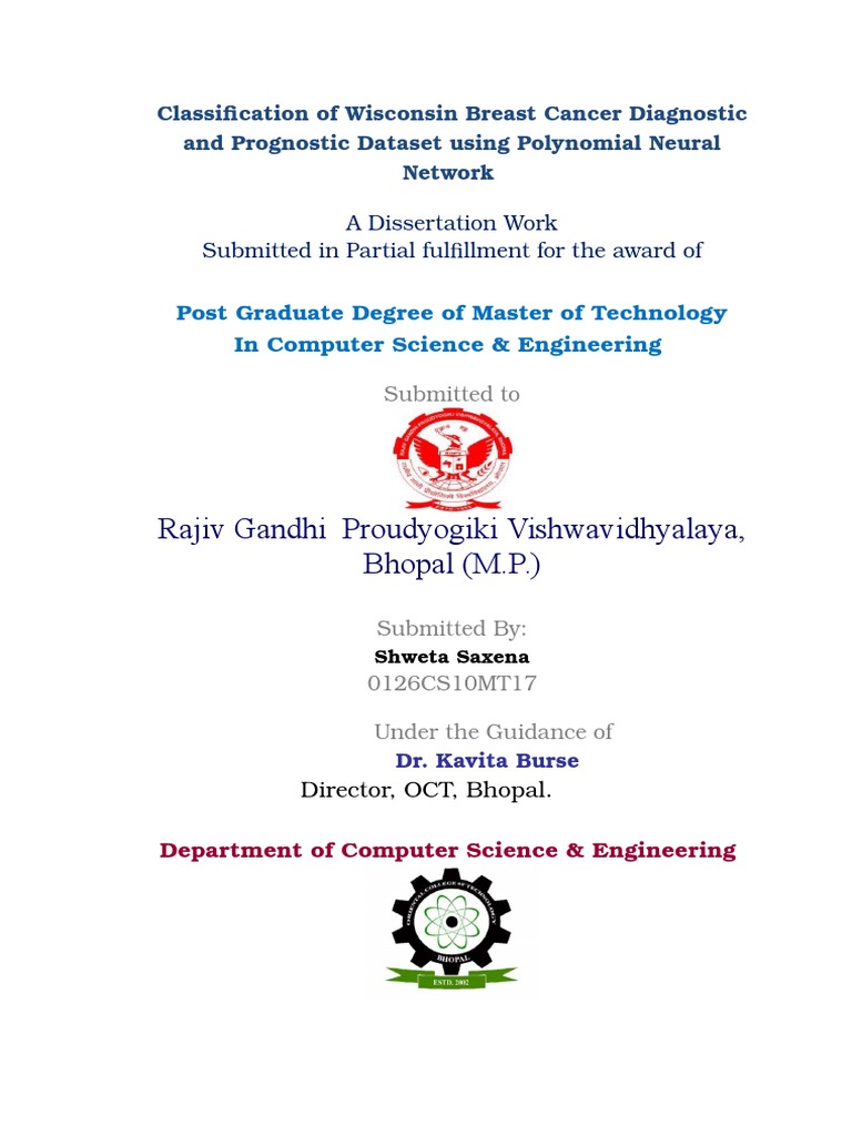 Thesis introduction sample image