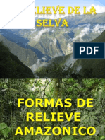 Selva