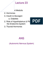 ANS A. Adrenal Medulla 2. Hormones 3. Insulin & Glucagon A. Diabetes 2. Role of Hypothalamus & Pituitary in The Endocrine System 3. Thyroid Hormones