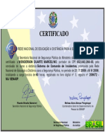 Certificado: Rede Nacional de Educação A Distância para A Segurança Pública