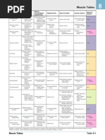 Anatomy Mnemonics Guide | PDF | Common Carotid Artery | Anatomical ...