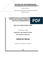 Flores_Flores_DC_MC_Desarrollo_Rural_2012+%281%29.desbloqueado.pdf
