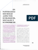 Cap 2 Relaciones Naturaleza Sociedad - Fernandez