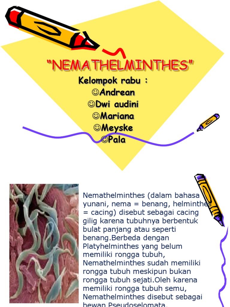 Nemathelminthes