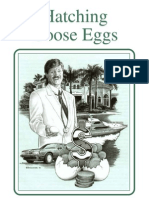 Hatching Goose Eggs