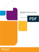 MapInfo Professional 11.0. Руководство Пользователя - 2011