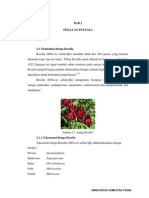 senyawa rosella.pdf