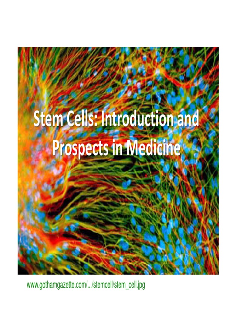 Stem Cells Introduction And Prospects In Medicine Pdf Stem Cell